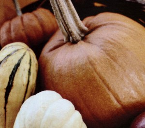 pumpkin bread fall recipes