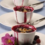 berry summery dessert
