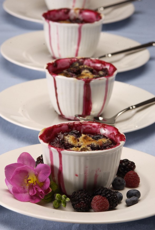 berry summery dessert