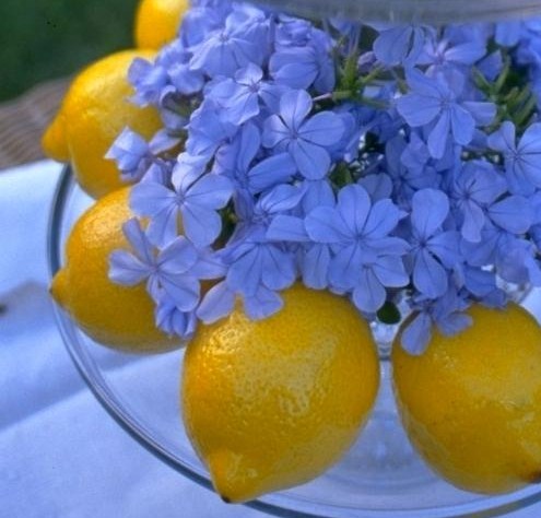 Spring Festivals and Lovely Lemon Cake